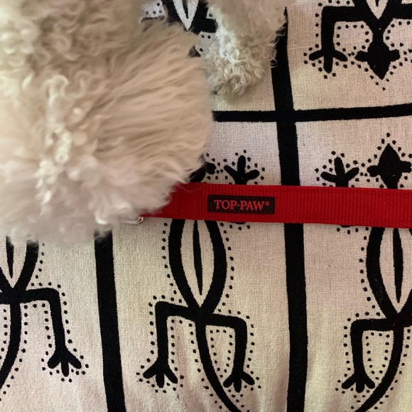 Top Paw® Nylon Dog Leash: 6-ft long - Picture 2 of 2